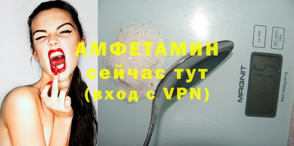 твердый Ладушкин