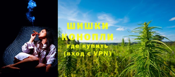 PSILOCYBIN Лабытнанги