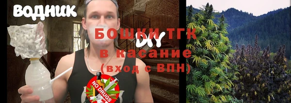 PSILOCYBIN Лабытнанги