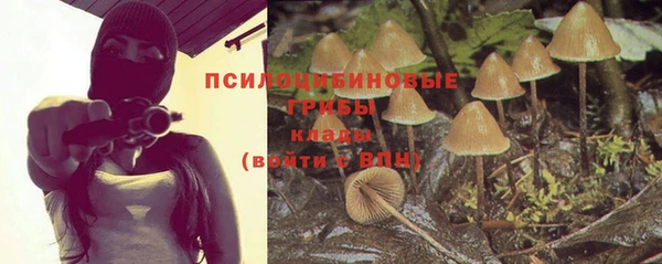 PSILOCYBIN Лабытнанги
