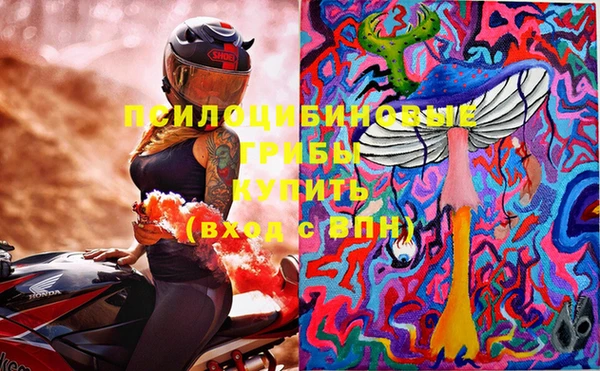 метадон Лагань
