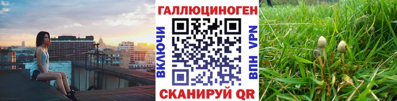 blacksprut как войти  Апшеронск  Псилоцибиновые грибы прущие грибы 