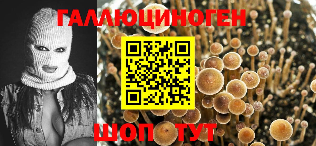 Галлюциногенные грибы Cubensis  Вход с VPN  Апшеронск  Галлюциногенные грибы Magic Shrooms 