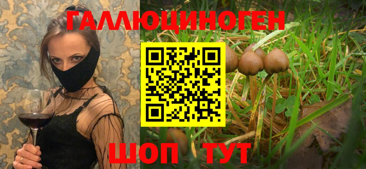 Галлюциногенные грибы ЛСД Апшеронск