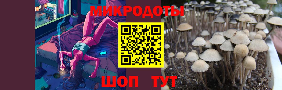 Псилоцибиновые грибы прущие грибы Апшеронск